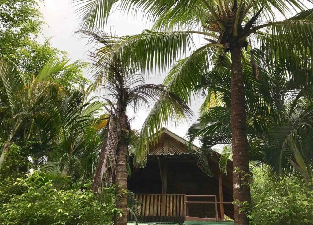 Beach Cabinas Playa Santa Teresa  Exterior photo